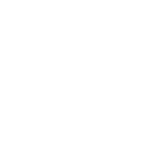 収益加速プログラム